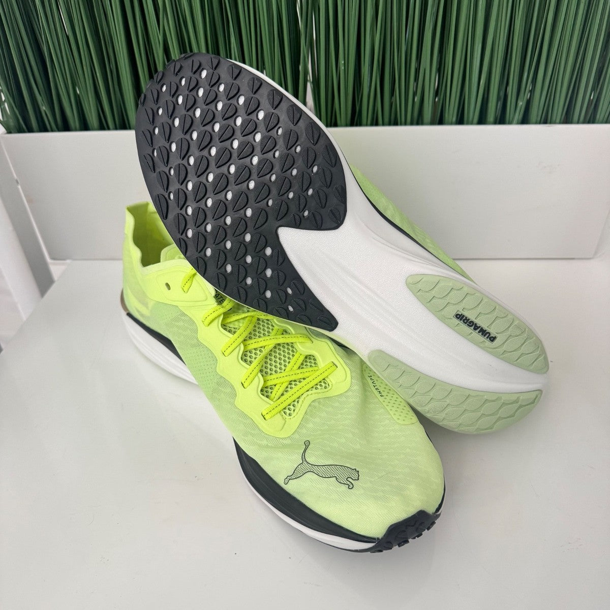 Puma nitro